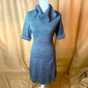 Ann Taylor sweater dress